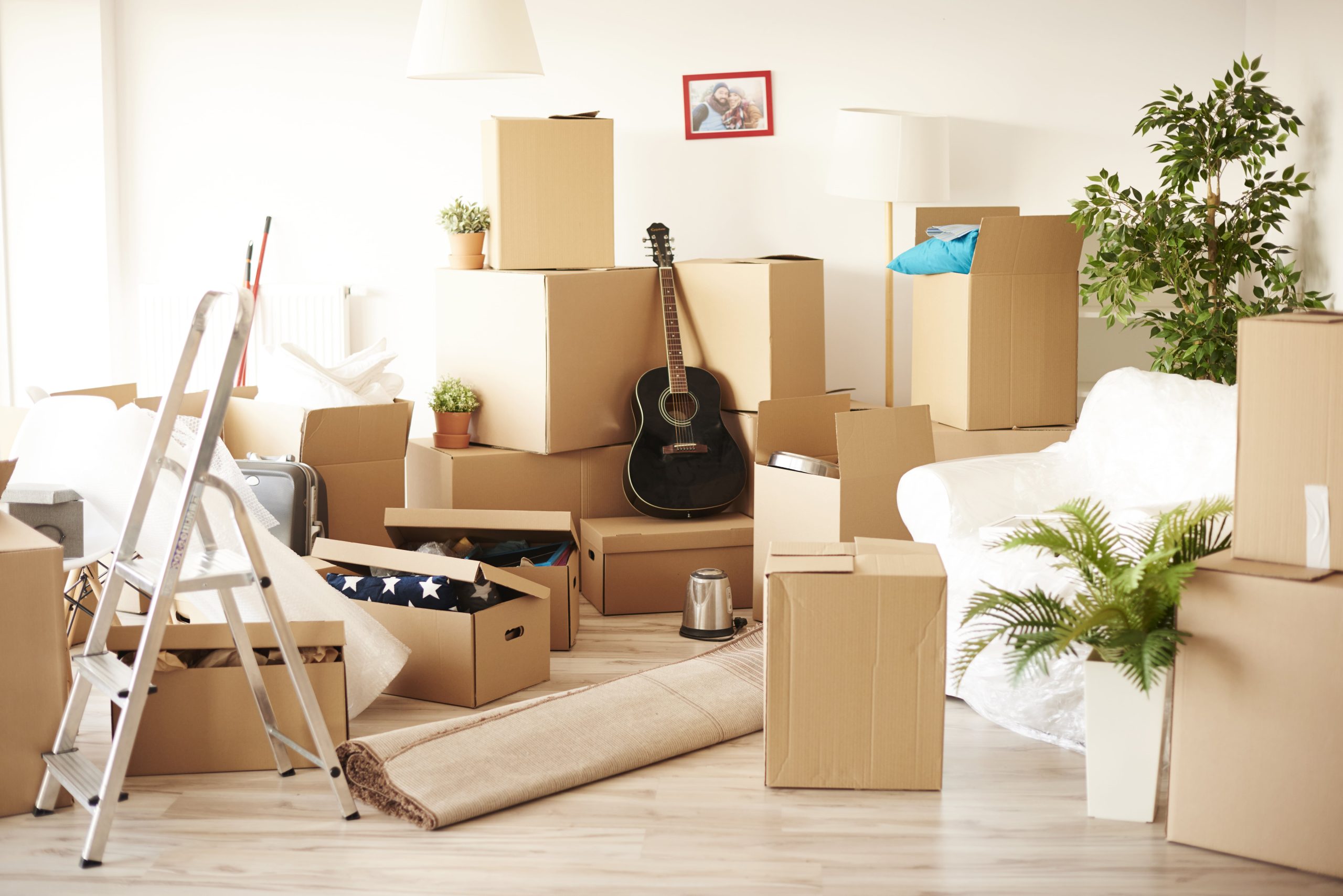 Making Your Move Eco-Friendly: Tips for a Greener Move